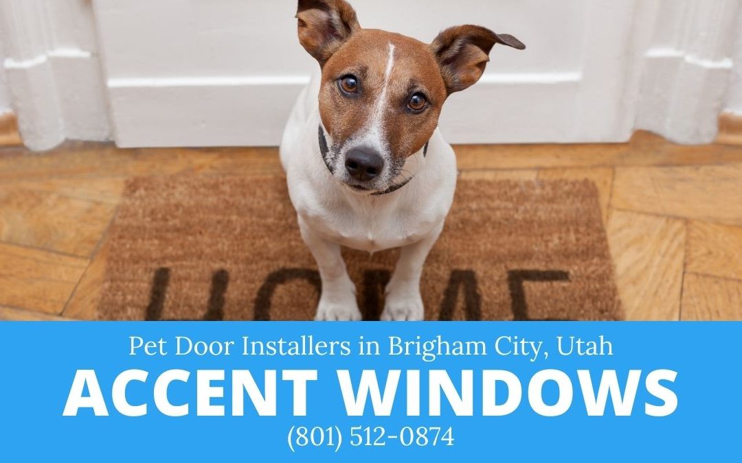 Pet Door Installation in Brigham City
