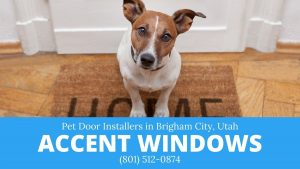 pet-doors-in-Brigham-City