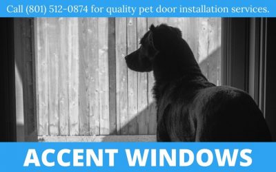 Why Should I Get A Pet Door?