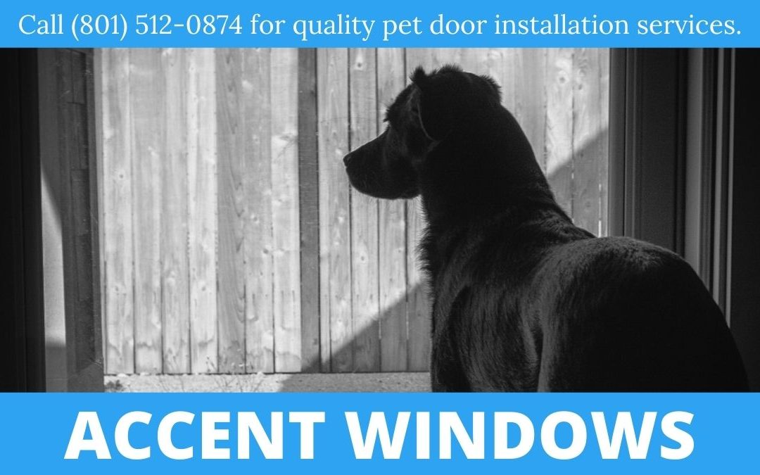 pet-door-installation-in-Logan