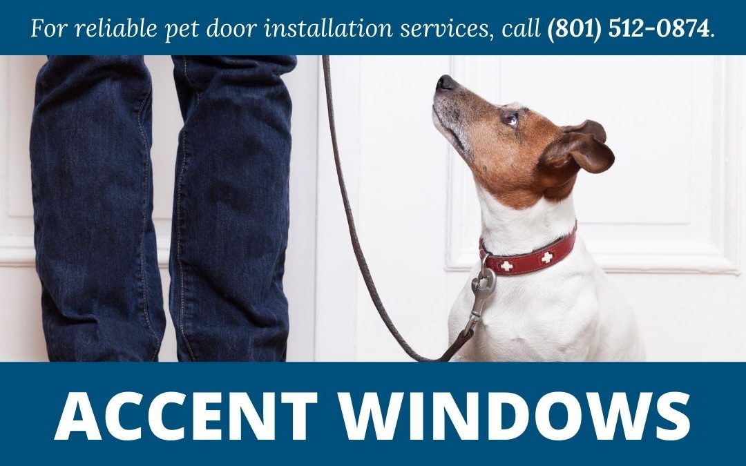 High-Quality Pet Door Installation in Tremonton, Utah