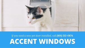 Odgen-UT-pet-door-installation