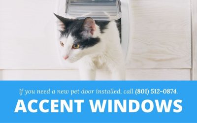 The Benefits of Pet Door Installation
