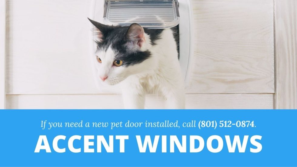 Ogden UT Pet Door Installation Accent Windows 8015120874