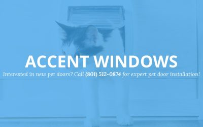 Pet-Friendly Homes: Top-Quality Pet Door Installations in Ogden, Utah